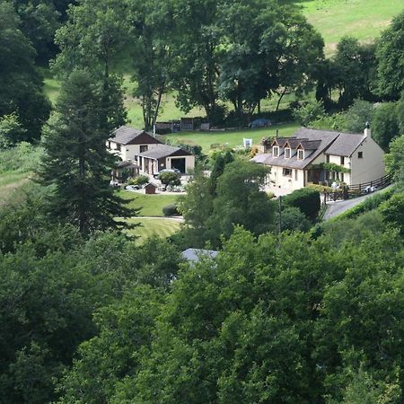Ty Twt - Complete Holiday Home Llandysul Екстериор снимка